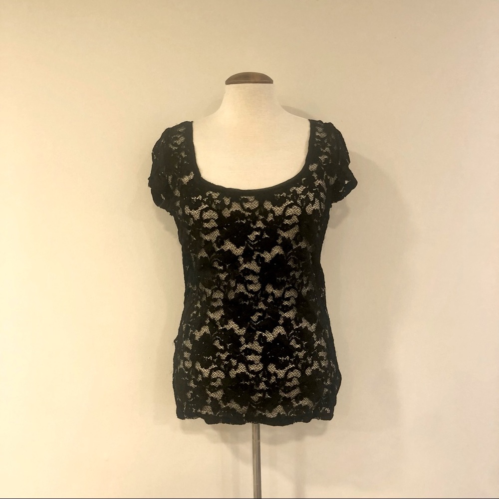 EUC Lace Short Sleeve Scoop Next Top!